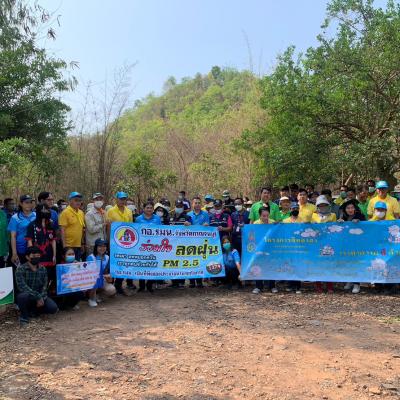 Line Album 2842566 Be 88