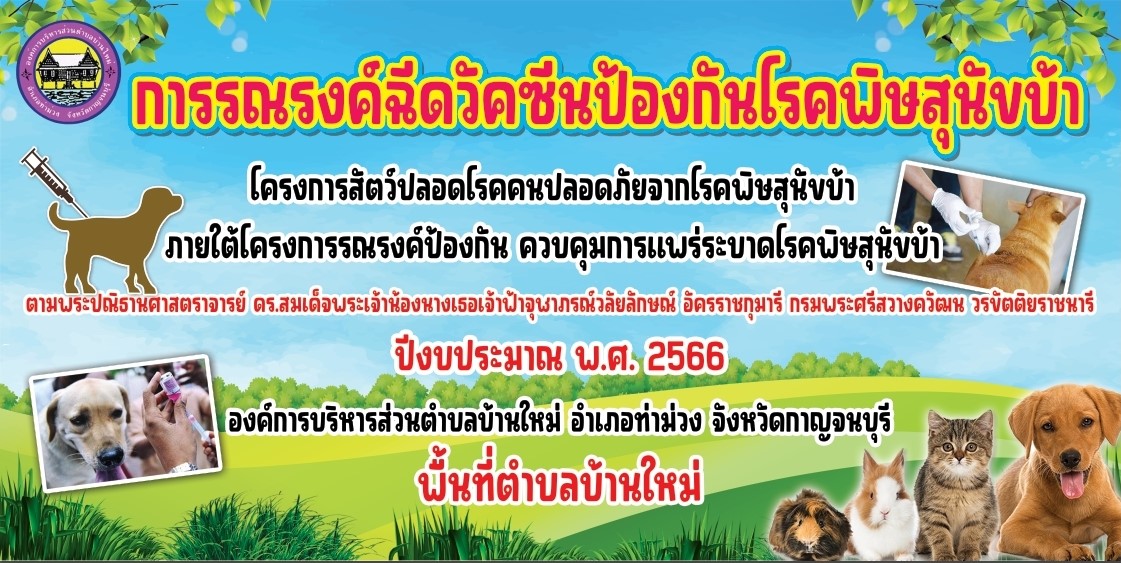 ฉีดวัคซีนหมาแมว