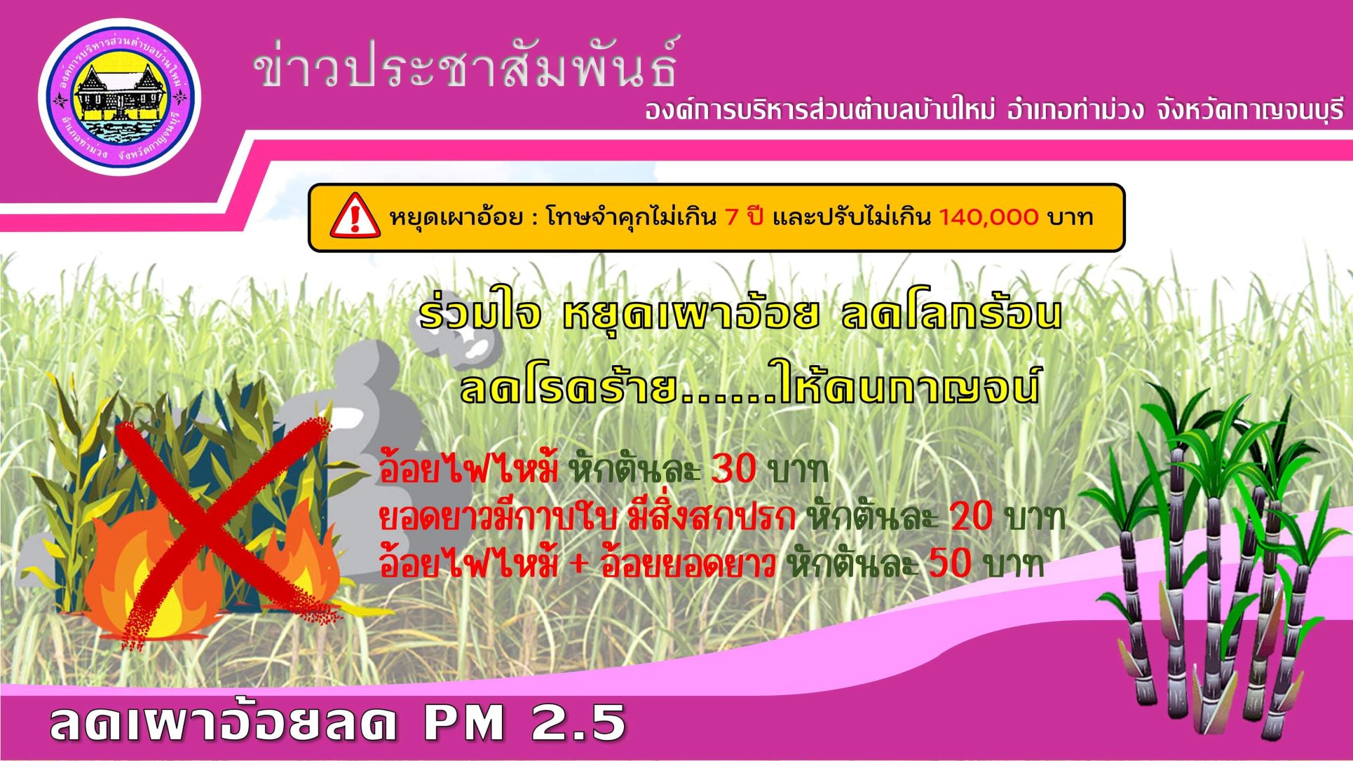 เผาอ้อย
