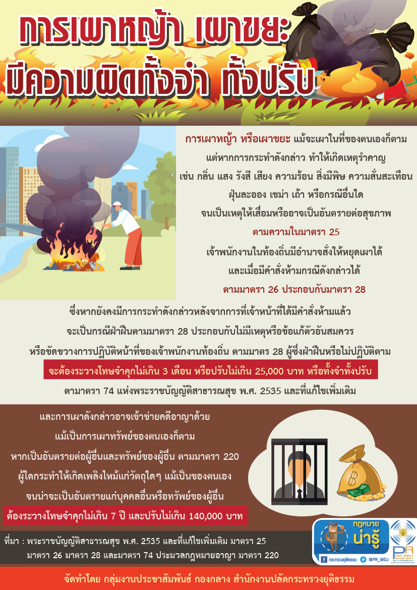 เผาอ้อย 2